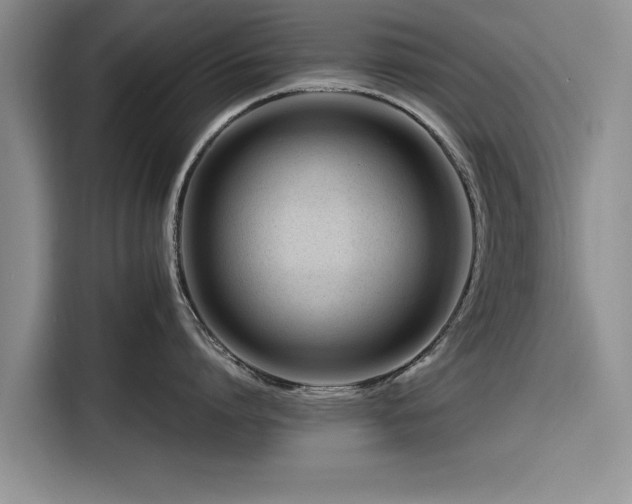 X0000116260864200912071021