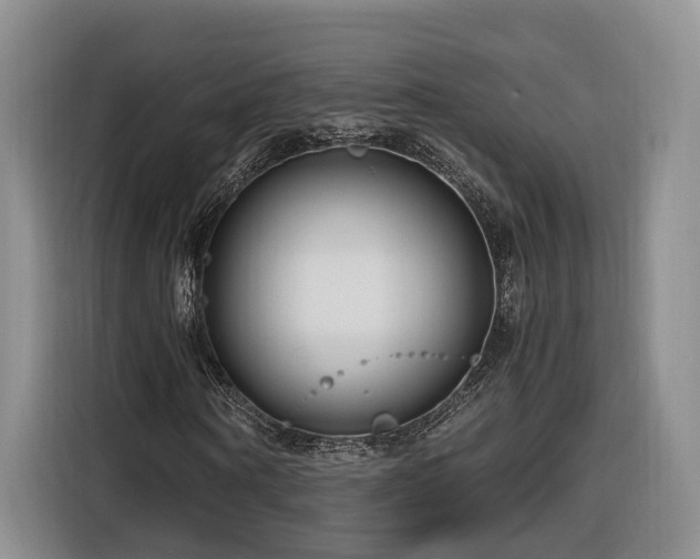 X0000116260866200912071020