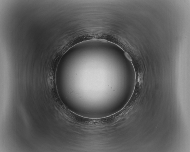 X0000116260867200912071020