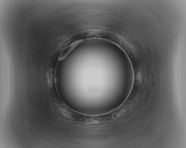 X0000116260868200912071020
