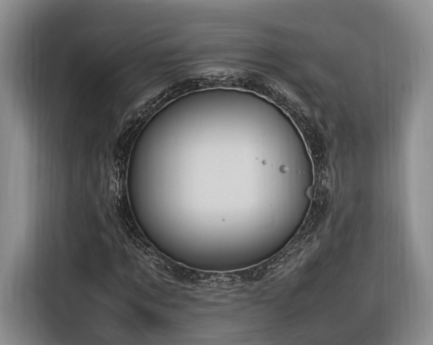 X0000116260869200912071020