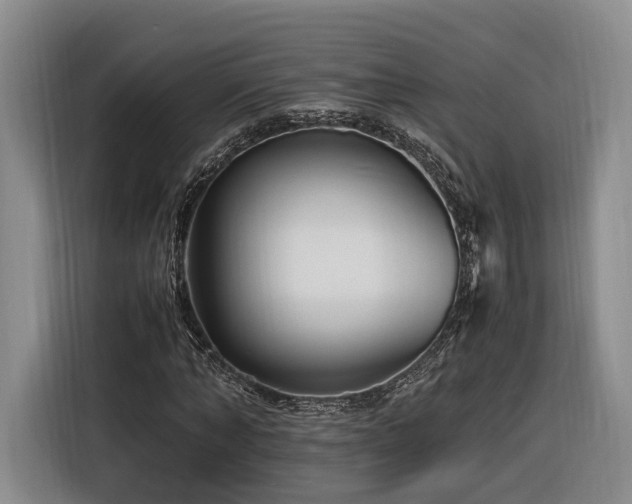 X0000116260870200912071020