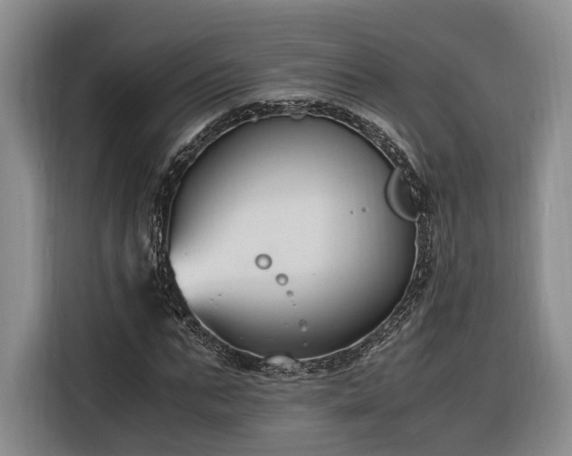 X0000116260871200912071020