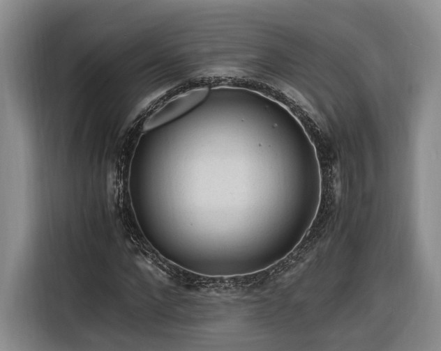 X0000116260872200912071020