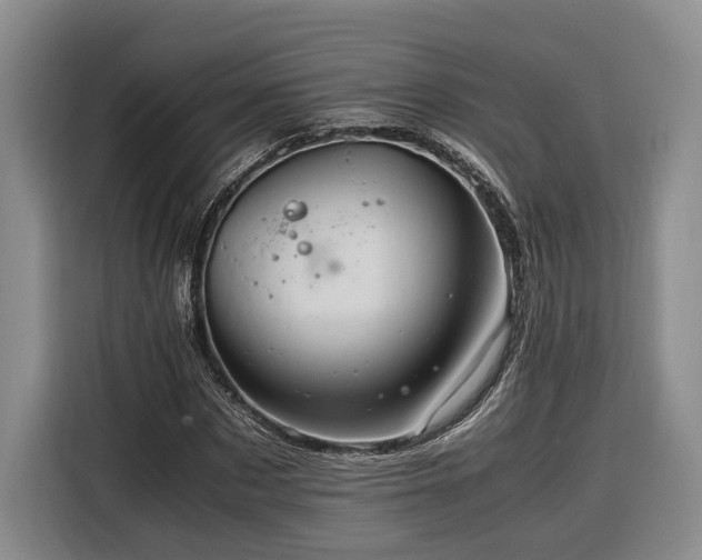 X0000116260873200912071020
