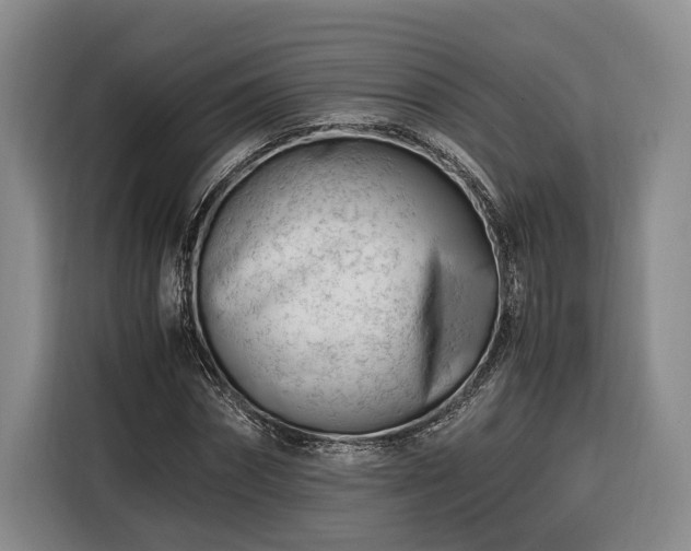 X0000116260874200912071020