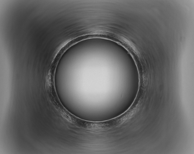 X0000116260875200912071020