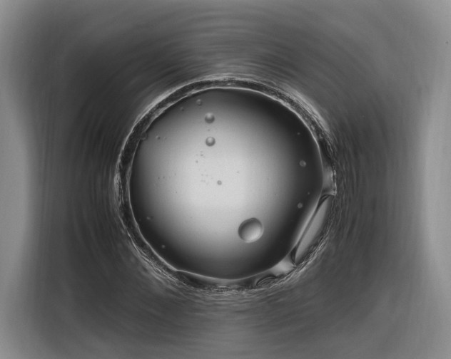 X0000116260876200912071020