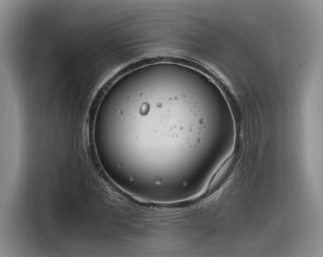 X0000116260877200912071020