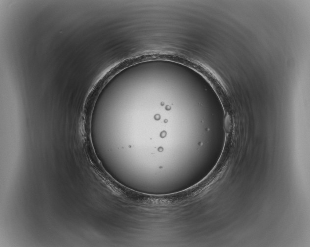 X0000116260878200912071020