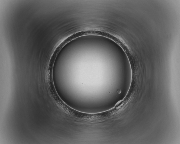 X0000116260879200912071020