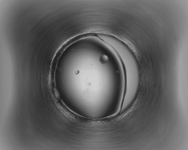 X0000116260880200912071020