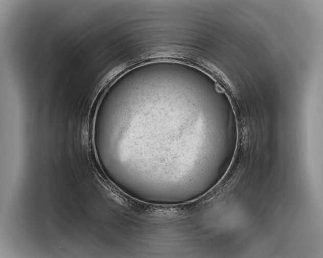 X0000116260882200912071020