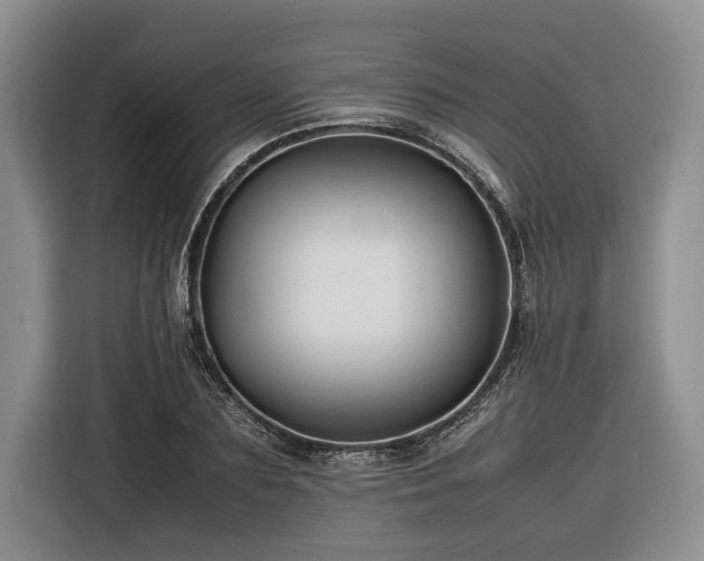 X0000116260883200912071020
