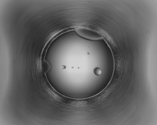 X0000116260884200912071020