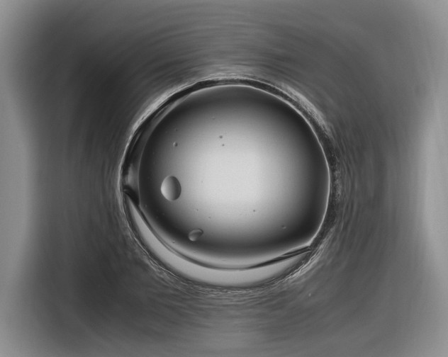 X0000116260885200912071020
