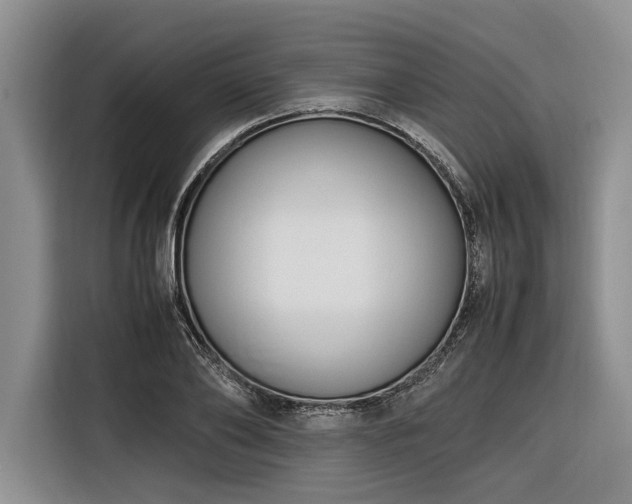 X0000116260886200912071020