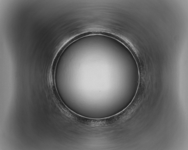 X0000116260887200912071020