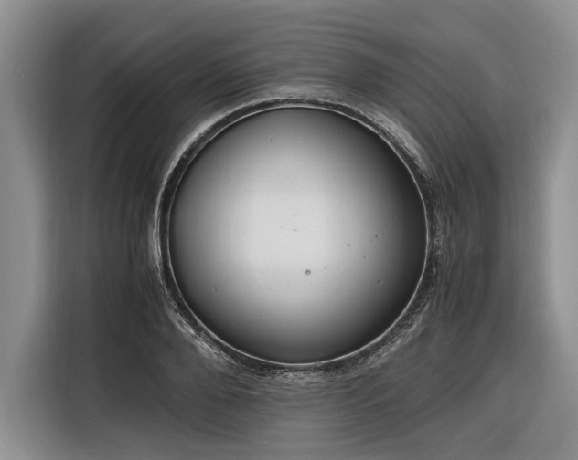 X0000116260888200912071020