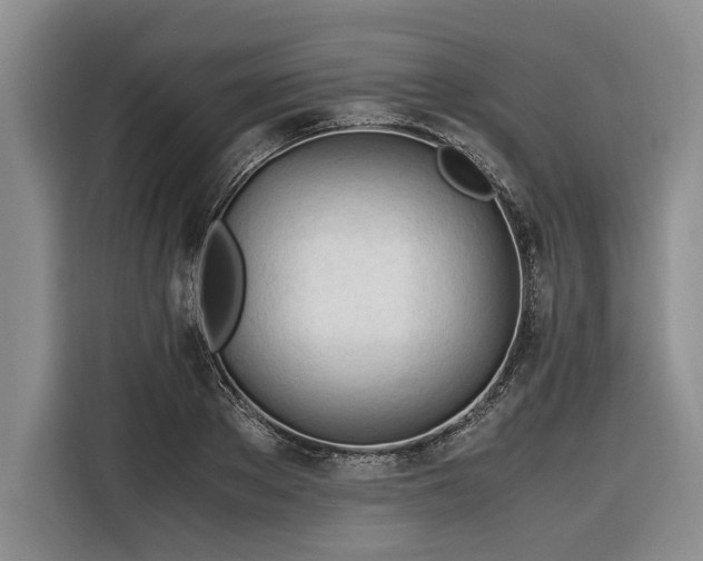 X0000116260889200912071020