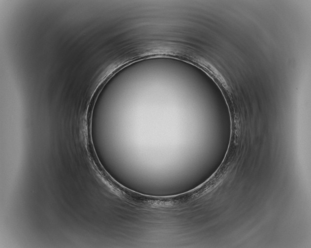X0000116260890200912071020