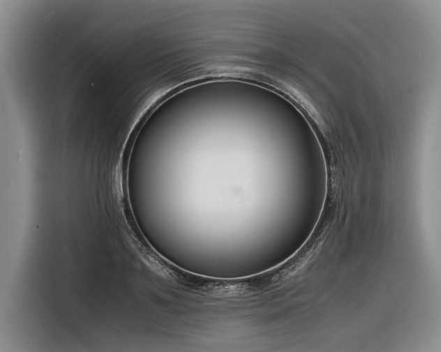 X0000116260891200912071020