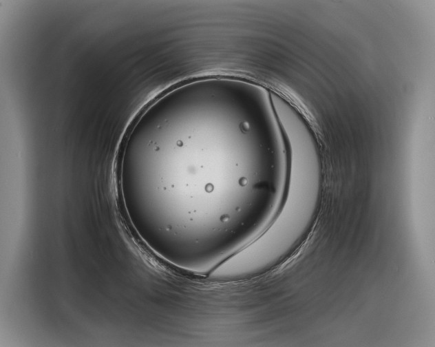 X0000116260892200912071020