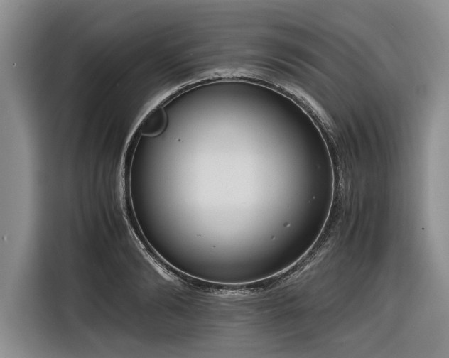 X0000116260894200912071020