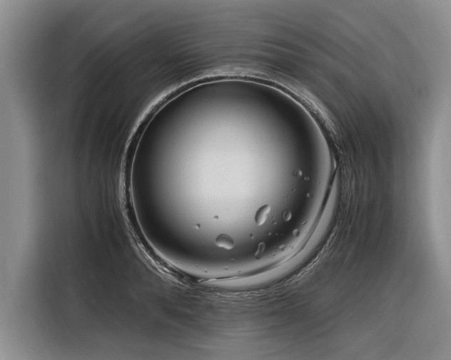 X0000116260896200912071020