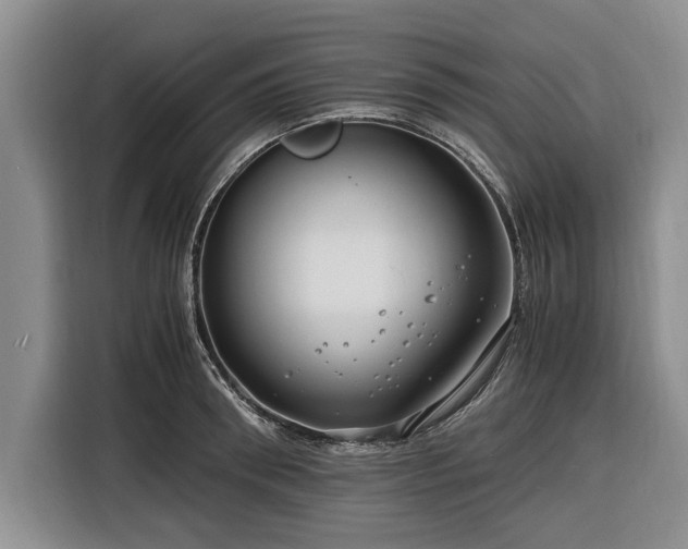 X0000116260898200912071020