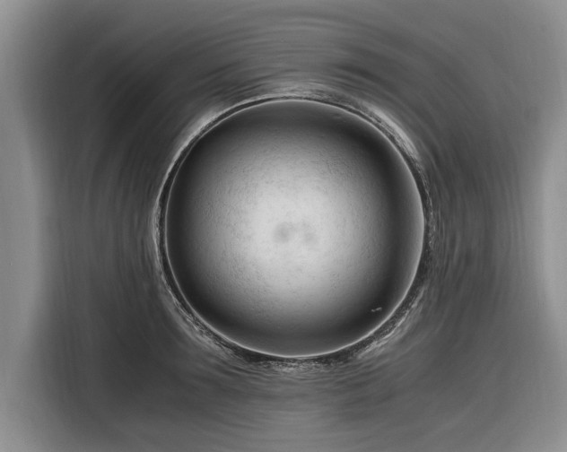 X0000116260899200912071020