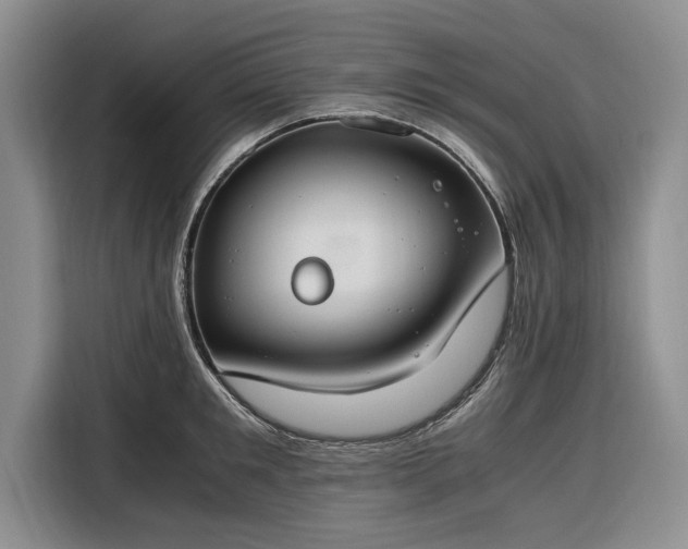 X0000116260901200912071020