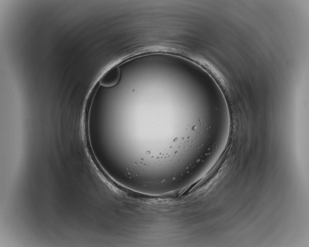 X0000116260902200912071020