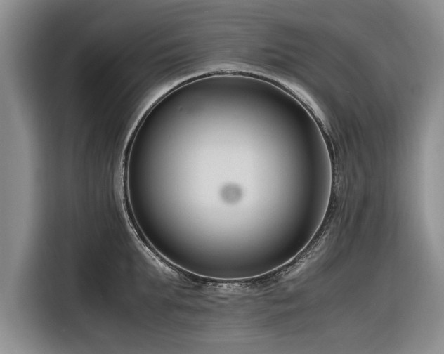 X0000116260903200912071020