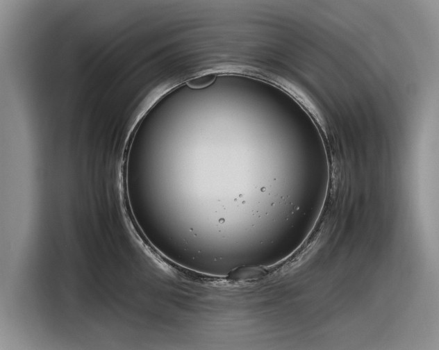 X0000116260906200912071020