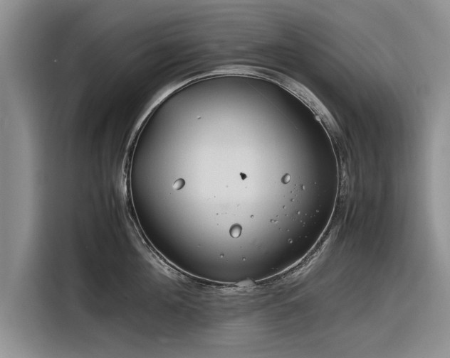 X0000116260908200912071020