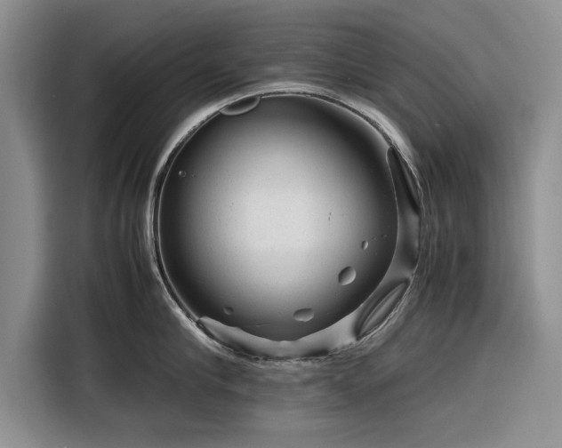 X0000116260910200912071020