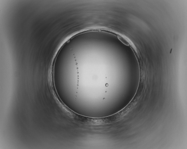 X0000116260911200912071020