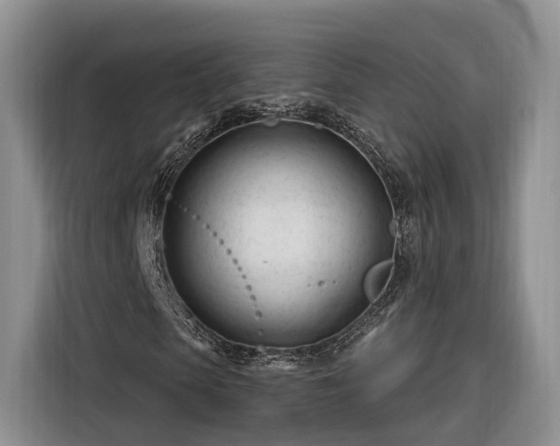 X0000116260913200912071019
