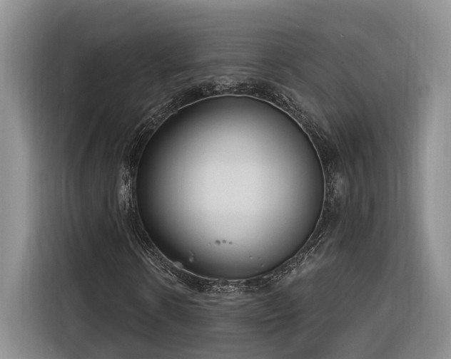 X0000116260914200912071019