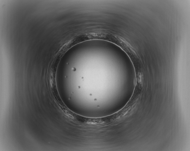 X0000116260915200912071019