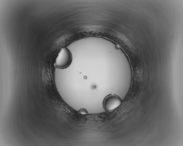 X0000116260918200912071019