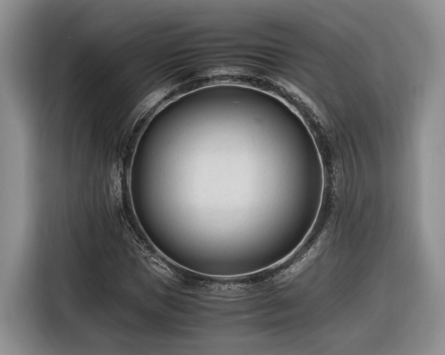 X0000116260921200912071019
