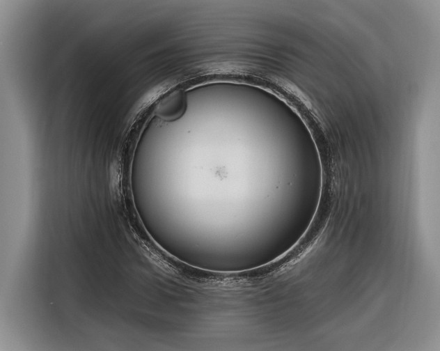 X0000116260922200912071019
