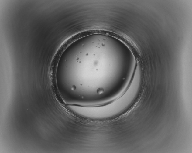 X0000116260926200912071019