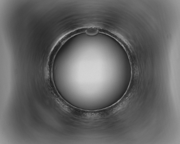 X0000116260927200912071019