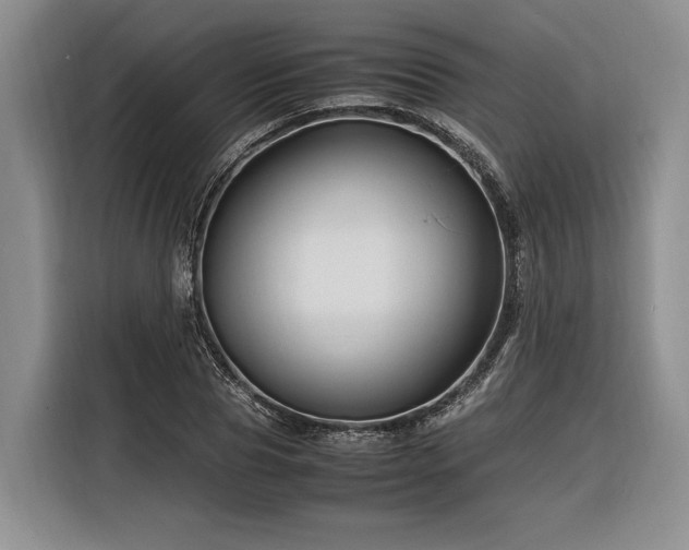 X0000116260929200912071019