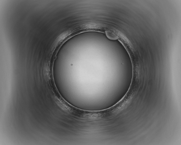 X0000116260930200912071019