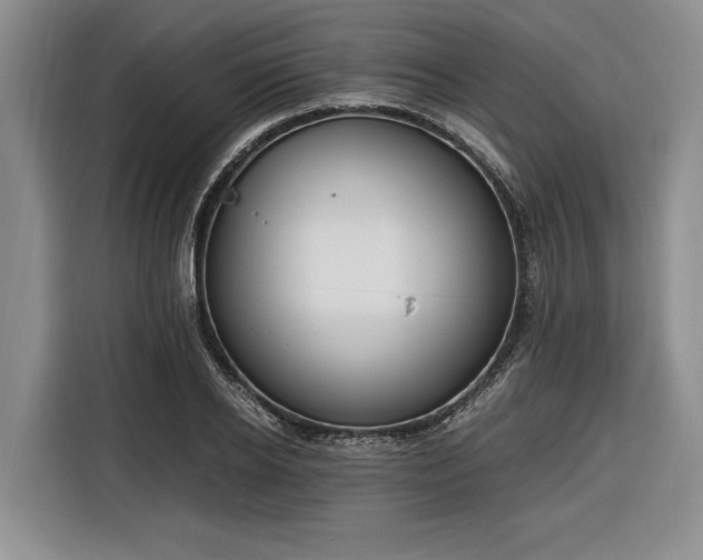 X0000116260934200912071019