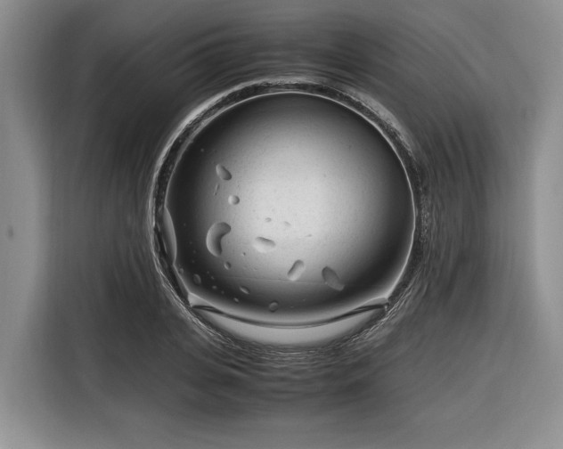 X0000116260935200912071019